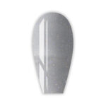 Silver Glitter 5gr AP082