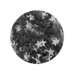 Paillettes Stelle 01