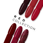 Red Collection