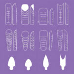 Dual Form Mix Box 8 Forme - immagine 3